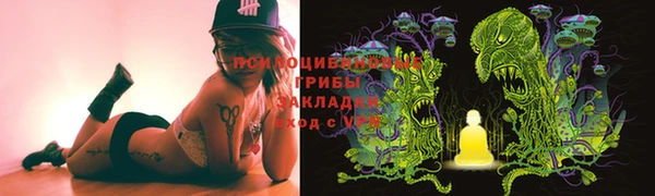 бошки Горняк