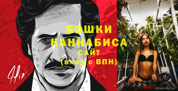 бошки Горняк