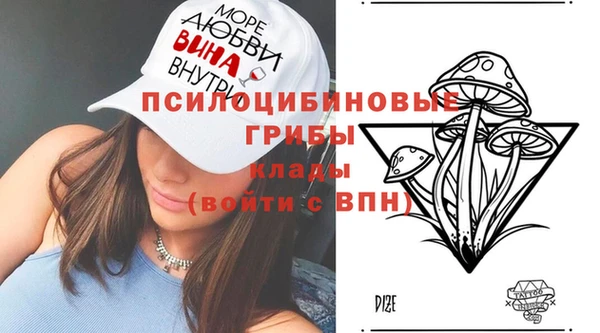 бошки Горняк