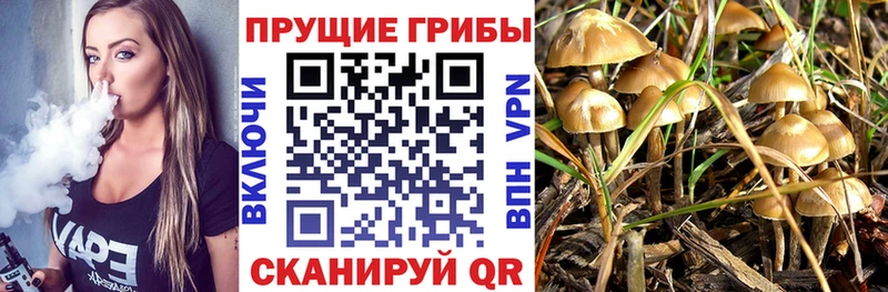 Купить где  Билибино  Псилоцибиновые грибы Magic Shrooms 
